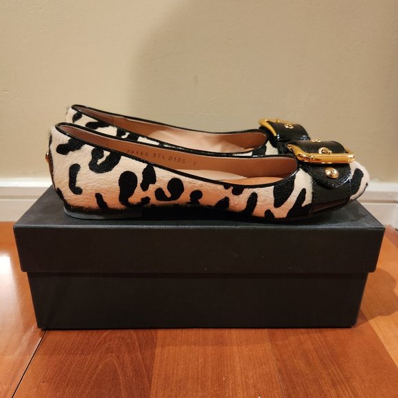 Giuseppe Zanetti - Picture 7 of 12